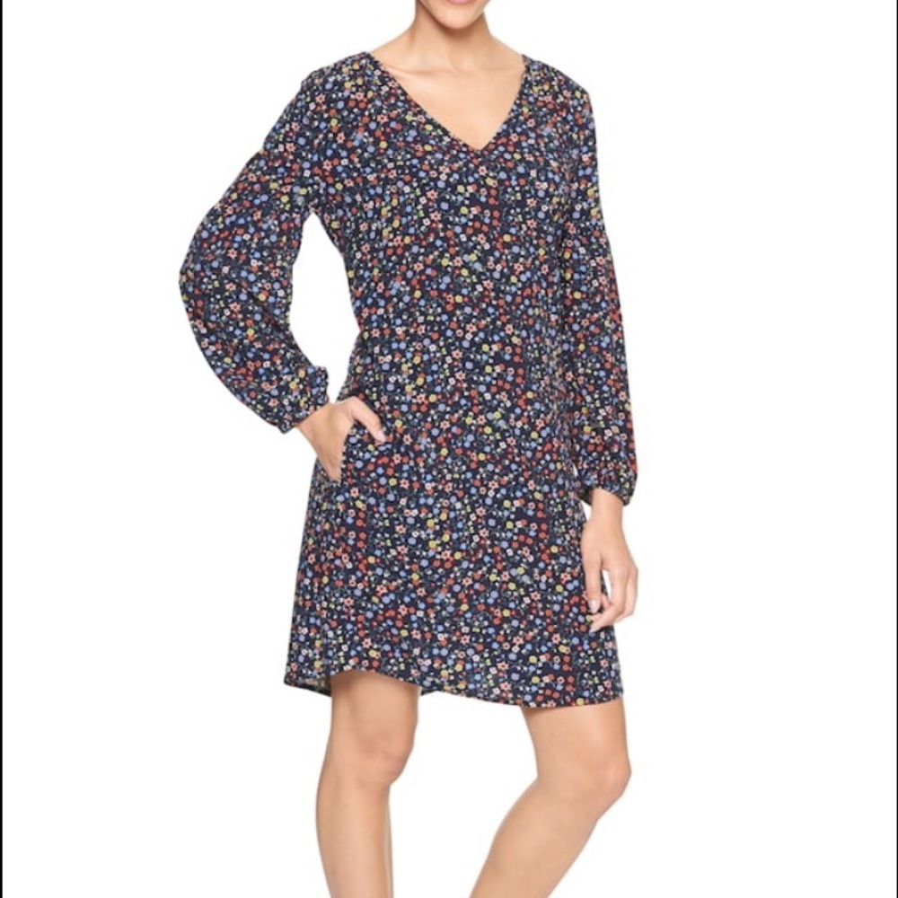 Gap Shift Dress
